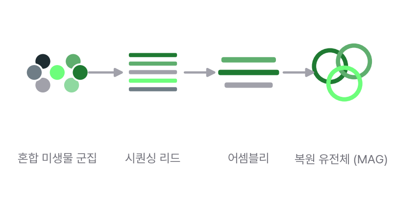 혼합 미생물 군집에서 시퀀싱 리드와 어셈블리를 거쳐 복원 유전체(MAG)를 얻는 과정